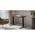 Desk MOON black body / anthracite tabletop order